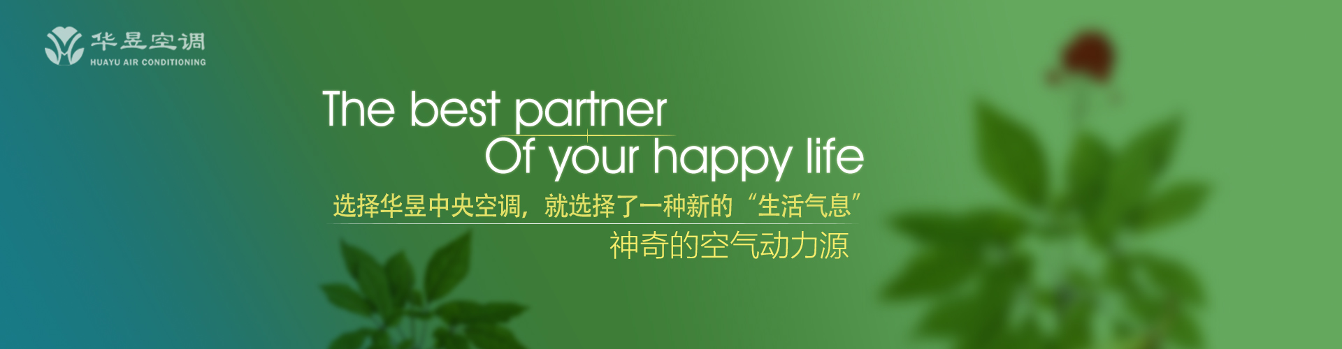 举止大方网